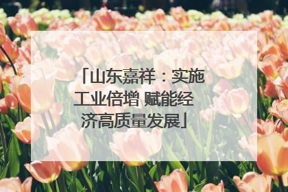 山东嘉祥：实施工业倍增 赋能经济高质量发展