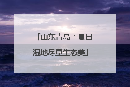 山东青岛：夏日湿地尽显生态美