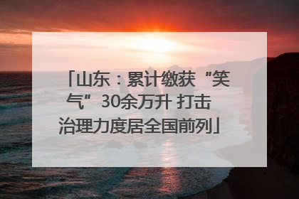 山东：累计缴获“笑气”30余万升 打击治理力度居全国前列