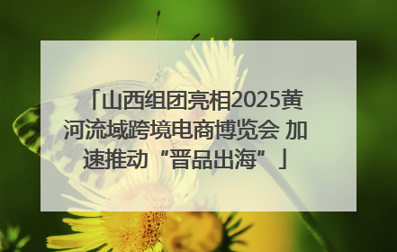 山西组团亮相2025黄河流域跨境电商博览会 加速推动“晋品出海”
