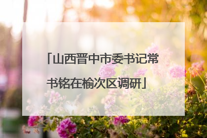 山西晋中市委书记常书铭在榆次区调研
