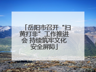 岳阳市召开“扫黄打非”工作推进会 持续筑牢文化安全屏障