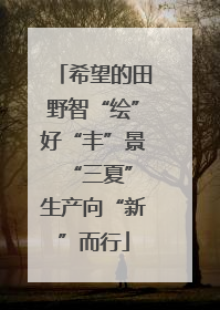 希望的田野智“绘”好“丰”景 “三夏”生产向“新”而行