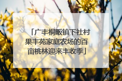 广丰桐畈镇下社村果丰苑家庭农场的百亩桃林迎来丰收季
