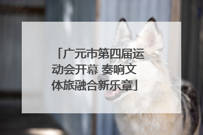 广元市第四届运动会开幕 奏响文体旅融合新乐章
