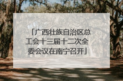 广西壮族自治区总工会十三届十二次全委会议在南宁召开
