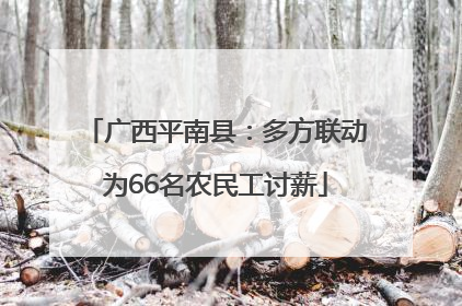广西平南县：多方联动为66名农民工讨薪