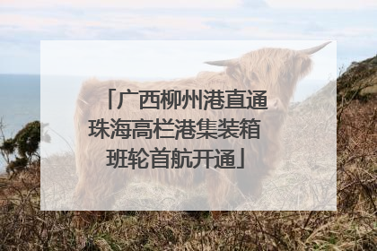 广西柳州港直通珠海高栏港集装箱班轮首航开通