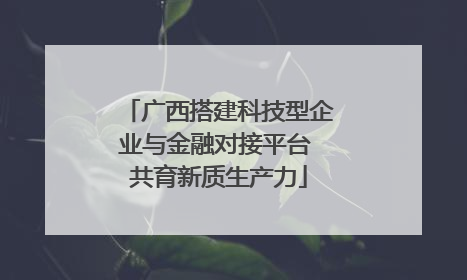 广西搭建科技型企业与金融对接平台 共育新质生产力