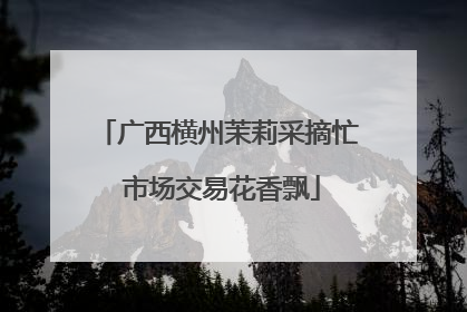 广西横州茉莉采摘忙 市场交易花香飘