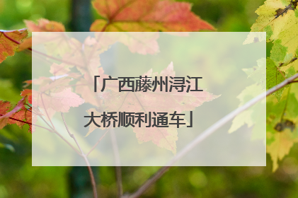 广西藤州浔江大桥顺利通车