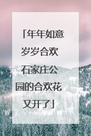年年如意 岁岁合欢 石家庄公园的合欢花又开了