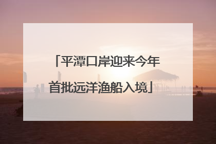 平潭口岸迎来今年首批远洋渔船入境