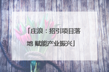 庄浪：招引项目落地 赋能产业振兴