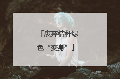 废弃秸秆绿色“变身”