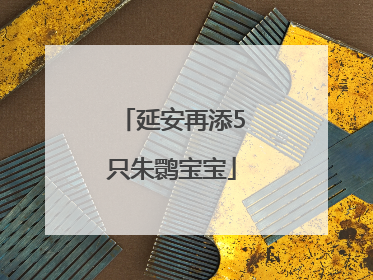 延安再添5只朱鹮宝宝
