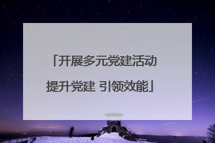开展多元党建活动 提升党建 引领效能