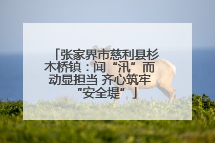 张家界市慈利县杉木桥镇：闻“汛”而动显担当 齐心筑牢“安全堤”