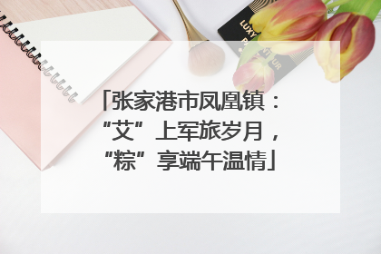 张家港市凤凰镇：“艾”上军旅岁月，“粽”享端午温情
