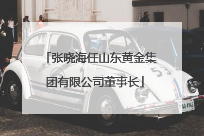 张晓海任山东黄金集团有限公司董事长