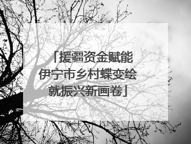 援疆资金赋能 伊宁市乡村蝶变绘就振兴新画卷