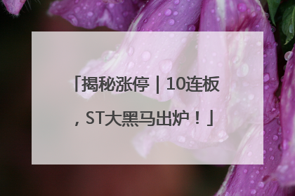 揭秘涨停｜10连板，ST大黑马出炉！