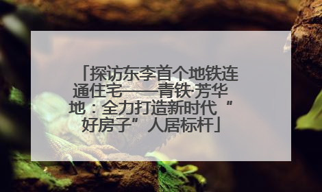 探访东李首个地铁连通住宅——青铁·芳华地：全力打造新时代“好房子”人居标杆