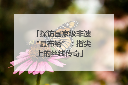 探访国家级非遗“夏布绣”：指尖上的丝线传奇