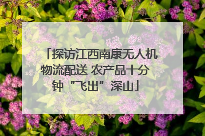 探访江西南康无人机物流配送 农产品十分钟“飞出”深山
