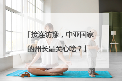 接连访豫，中亚国家的州长最关心啥？