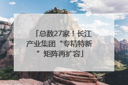 总数27家！长江产业集团“专精特新”矩阵再扩容