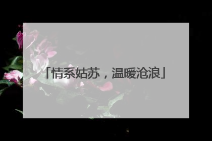 情系姑苏，温暖沧浪