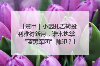 意甲｜小因扎吉转投利雅得新月，谁来执掌“蓝黑军团”帅印？