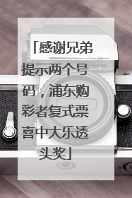 感谢兄弟提示两个号码，浦东购彩者复式票喜中大乐透头奖