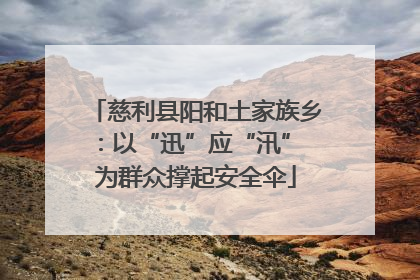 慈利县阳和土家族乡：以“迅”应“汛” 为群众撑起安全伞