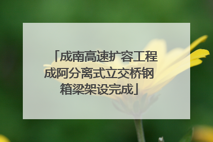 成南高速扩容工程成阿分离式立交桥钢箱梁架设完成