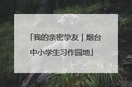我的亲密挚友｜烟台中小学生习作园地