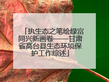 执生态之笔绘绿富同兴新画卷——甘肃省高台县生态环境保护工作综述