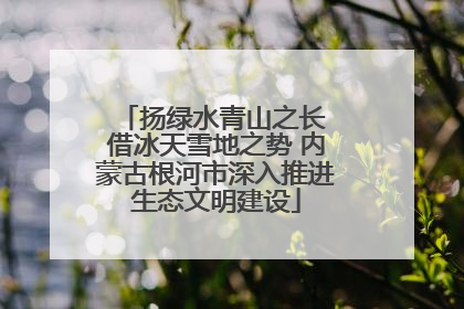 扬绿水青山之长 借冰天雪地之势 内蒙古根河市深入推进生态文明建设