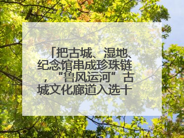 把古城、湿地、纪念馆串成珍珠链，“鲁风运河”古城文化廊道入选十大最美农村路