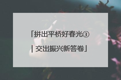 拼出平桥好春光③｜交出振兴新答卷