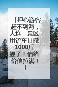 担心游客赶不到海，大连一景区用铲车日撒1000斤蚬子！情绪价值拉满！