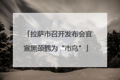 拉萨市召开发布会官宣黑颈鹤为“市鸟”