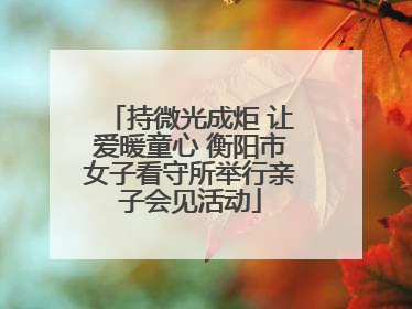 持微光成炬 让爱暖童心 衡阳市女子看守所举行亲子会见活动