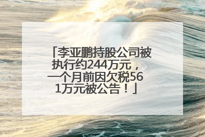 李亚鹏持股公司被执行约244万元，一个月前因欠税561万元被公告！