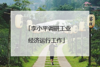 李小平调研工业经济运行工作