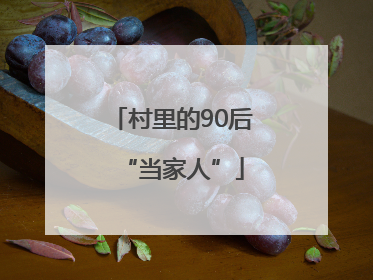 村里的90后“当家人”