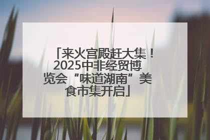 来火宫殿赶大集！2025中非经贸博览会“味道湖南”美食市集开启