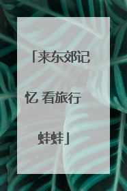 来东郊记忆 看旅行蛙蛙