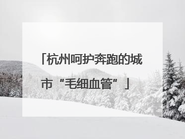 杭州呵护奔跑的城市“毛细血管”
